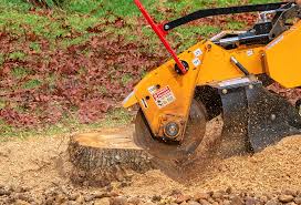Best Storm Damage Tree Cleanup  in Birch Bay, WA
