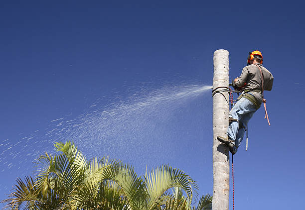 Best Weed Control  in Birch Bay, WA